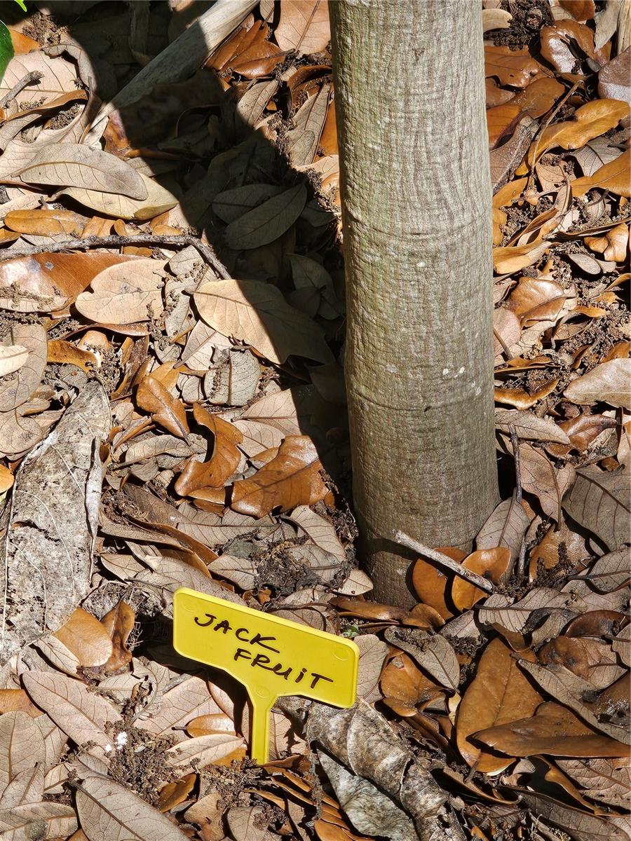 ELWOOD PARK RESUB BLKS70&72 UNREC - Residential