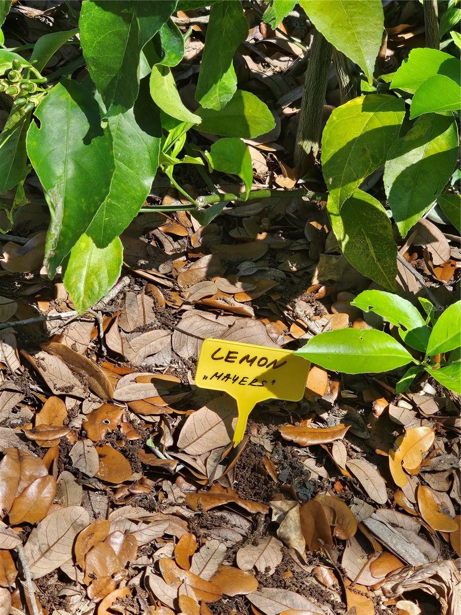 ELWOOD PARK RESUB BLKS70&72 UNREC - Residential