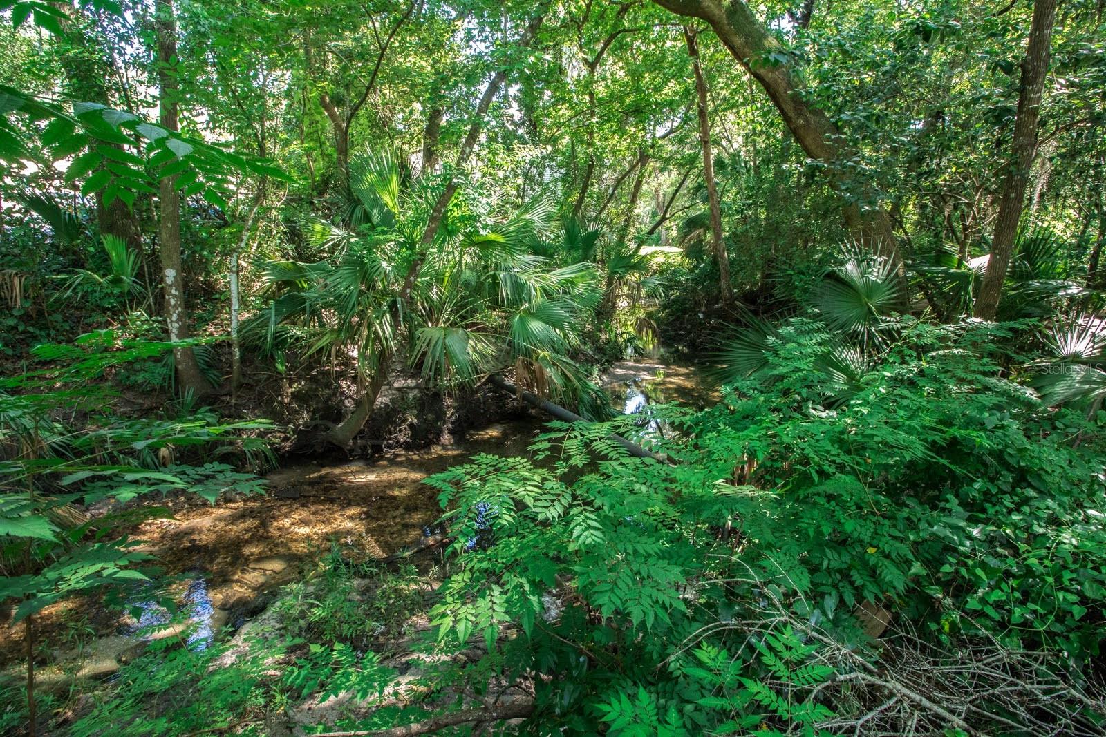 TUMBLIN CREEK - Residential