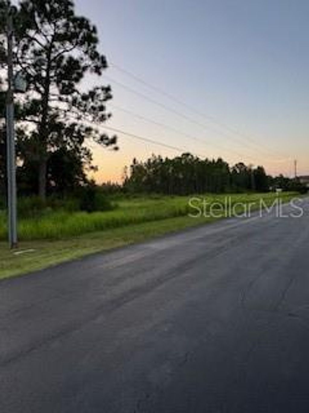 Photo of 8225 Woodleaf Boulevard, Wesley Chapel, FL 33544 (MLS # TB8418815)
