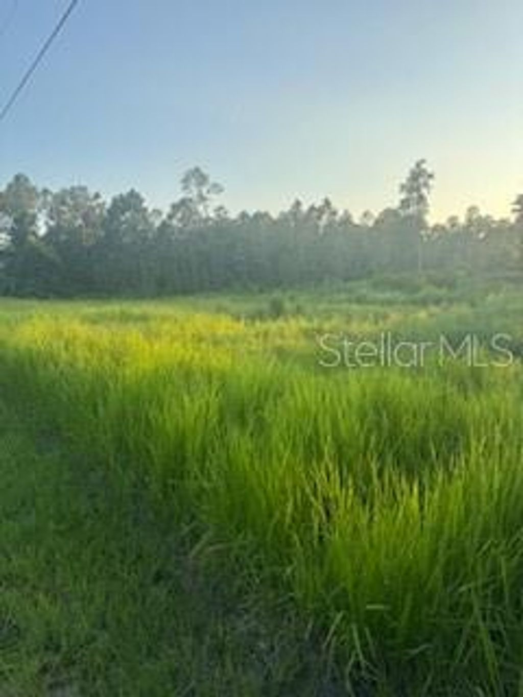 Photo of 8225 Woodleaf Boulevard, Wesley Chapel, FL 33544 (MLS # TB8418815)