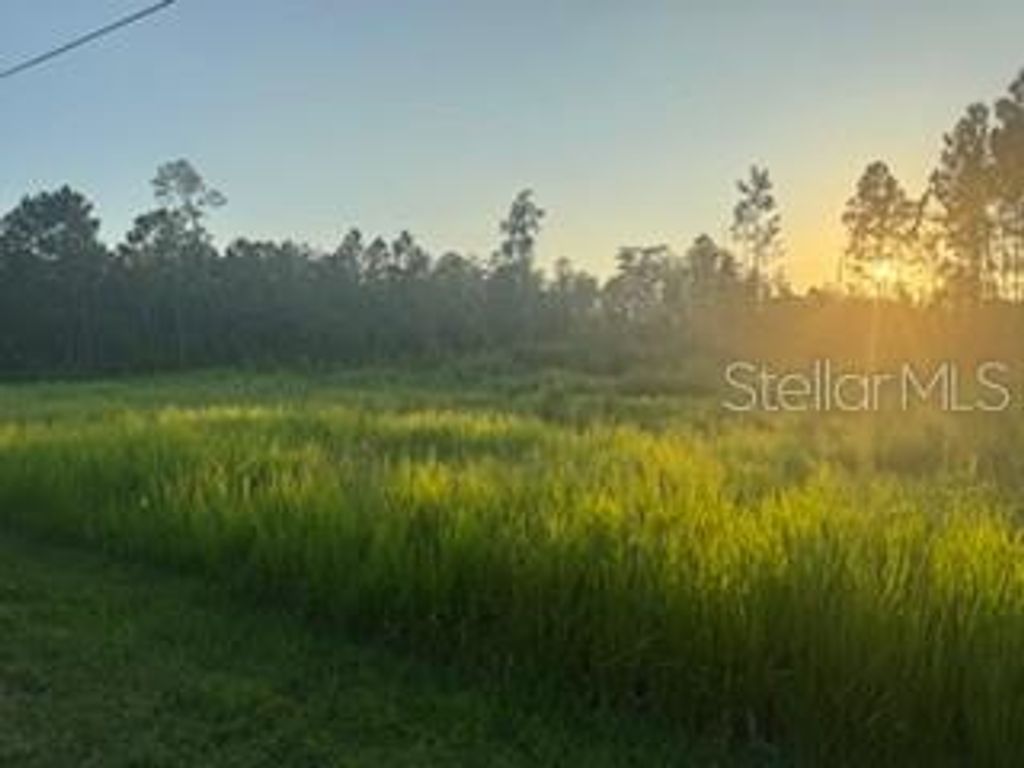 Photo of 8225 Woodleaf Boulevard, Wesley Chapel, FL 33544 (MLS # TB8418815)