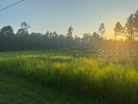 Photo of 8225 Woodleaf Boulevard, Wesley Chapel, FL 33544 (MLS # TB8418815)