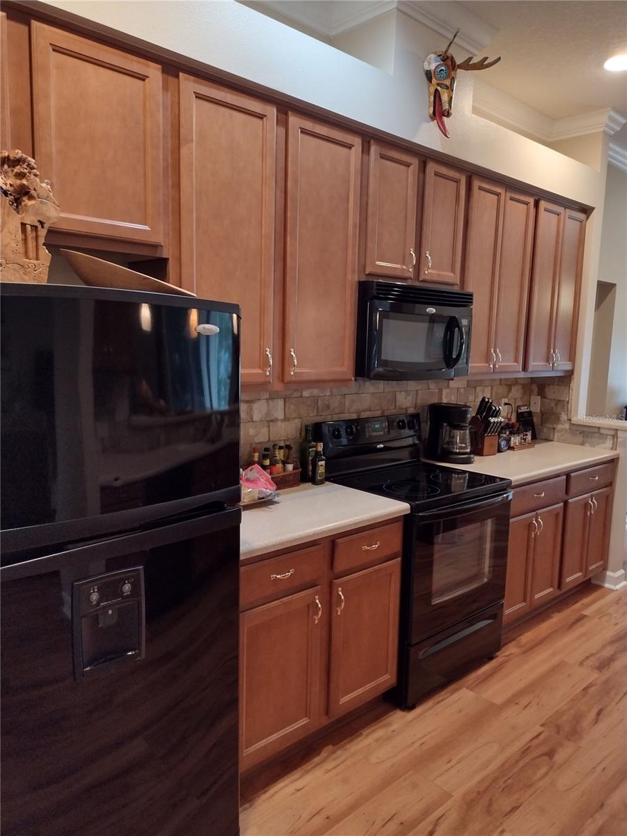 MOUNT DORA LAKES MOUNT DORA PH 01 - Residential Lease