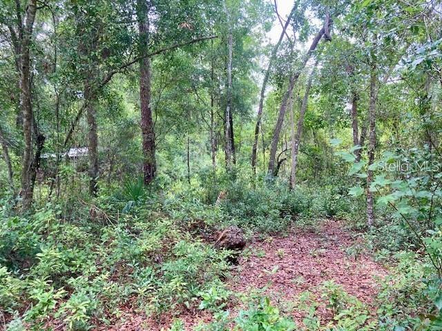 Photo of 407 Raulerson Road, Seville, FL 32190 (MLS # V4951208)