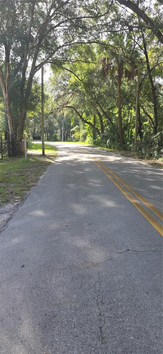 Photo of 407 Raulerson Road, Seville, FL 32190 (MLS # V4951208)
