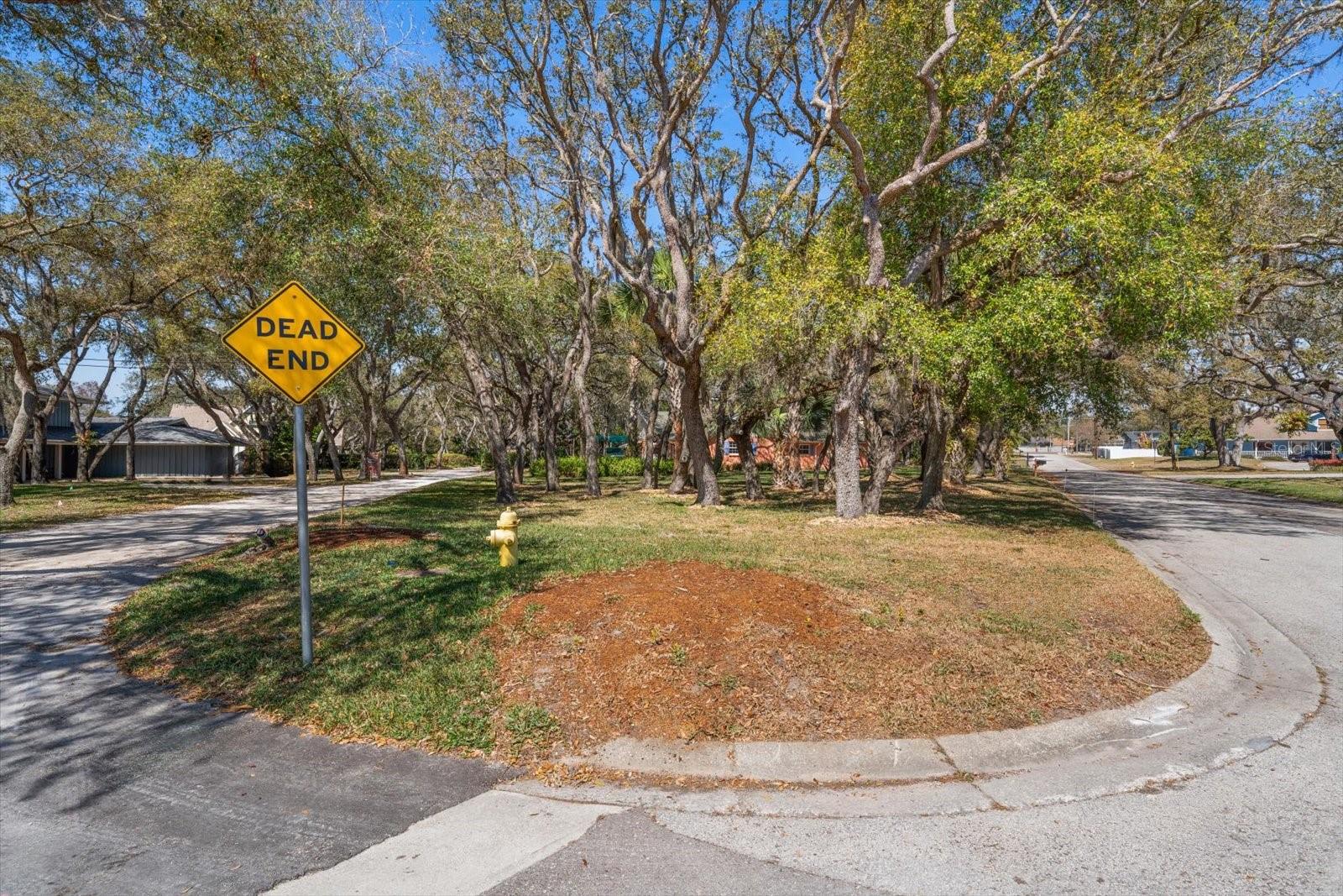 DUNEDIN RIDGE 1ST ADD - Residential