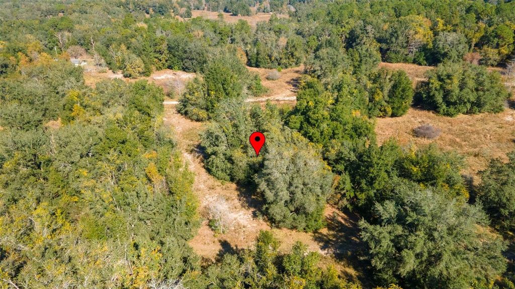 Photo of 2305 Jefferson Street, Inverness, FL 34453 (MLS # TB8448314)