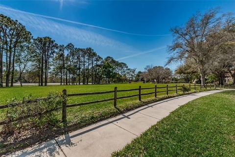 A home in PALM HARBOR