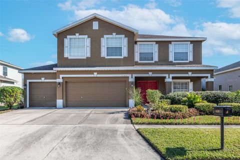 A home in LITHIA