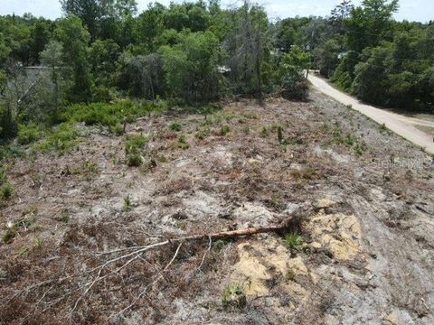 Tiny photo for Y SE 143rd Ln, Umatilla, FL 32784 (MLS # O6409410)
