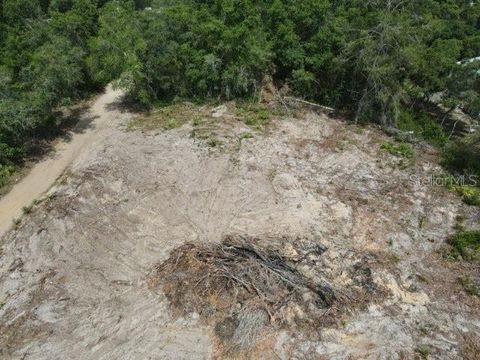 Tiny photo for Y SE 143rd Ln, Umatilla, FL 32784 (MLS # O6409410)