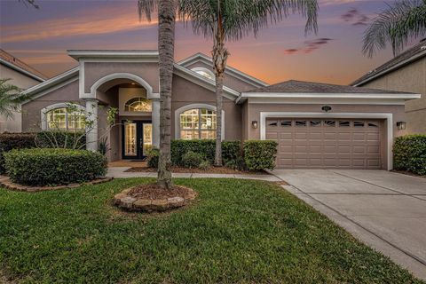 Photo of 20017 Painting Nature Lane, Tampa, FL 33647 (MLS # TB8426968)