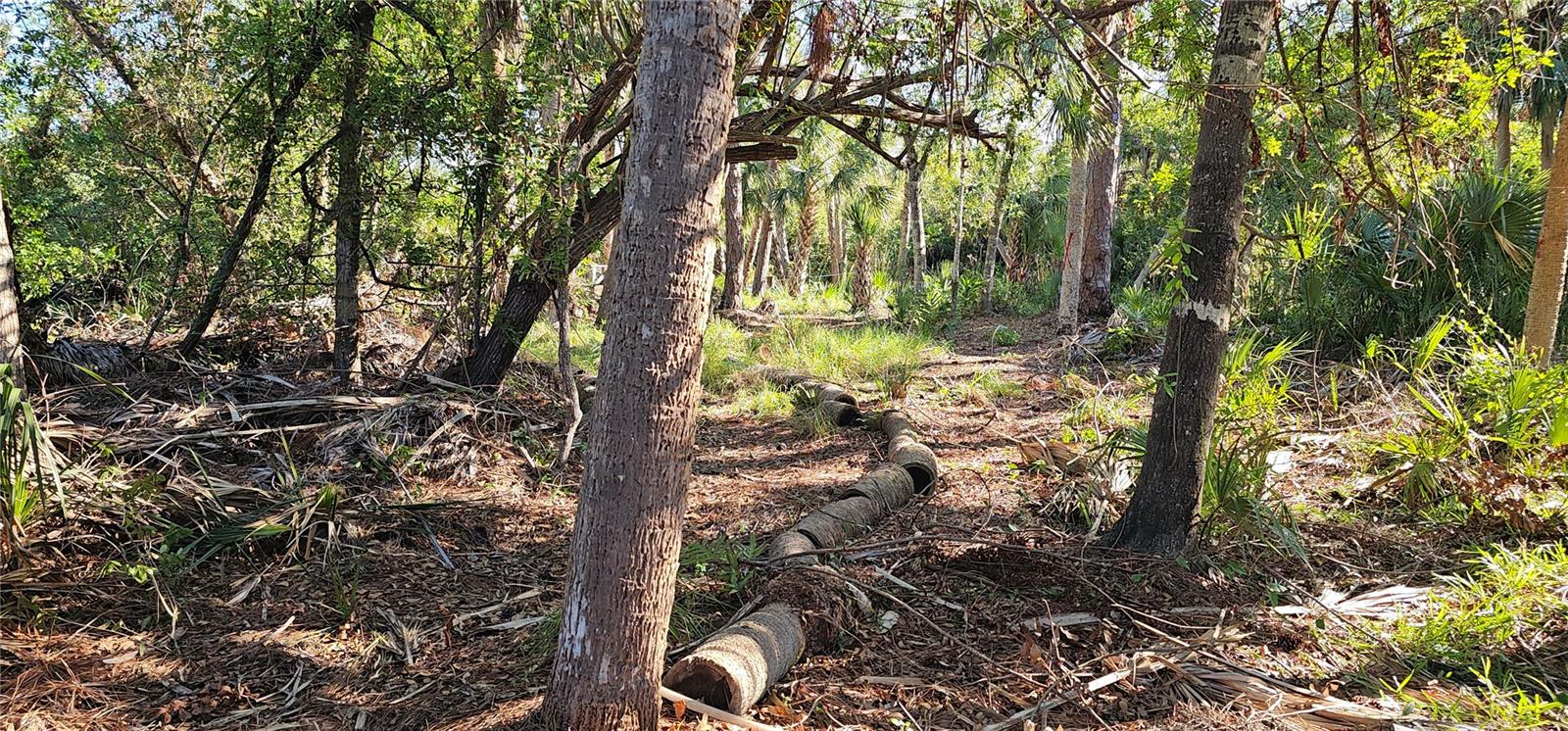 PORT CHARLOTTE SEC 073 - Land