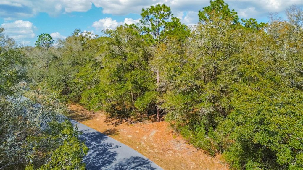 Photo of 8743 N Sandree Drive, Citrus Springs, FL 34434 (MLS # W7883997)