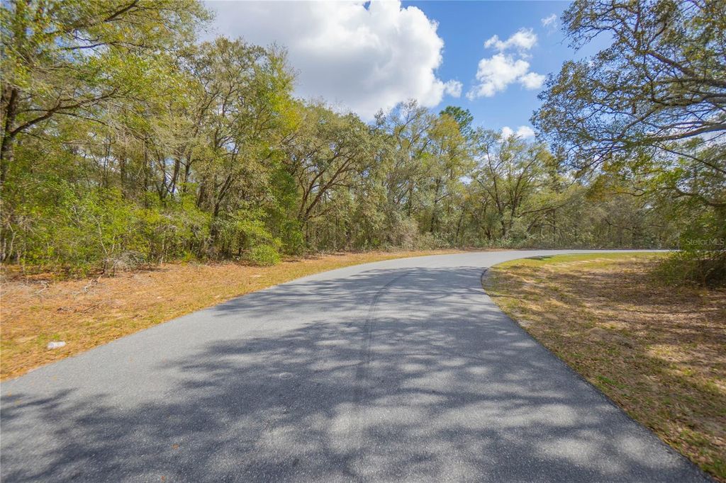 Photo of 8743 N Sandree Drive, Citrus Springs, FL 34434 (MLS # W7883997)