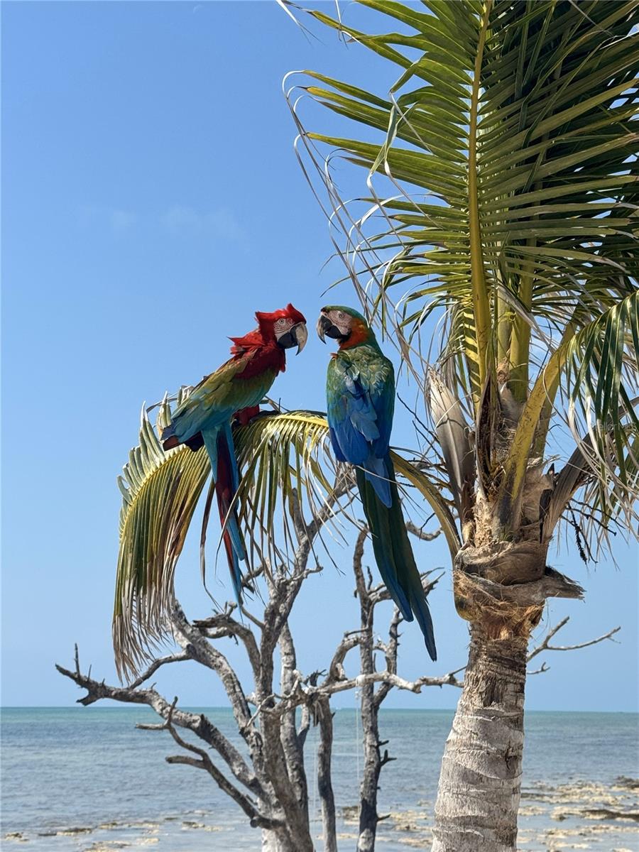 LONG BEACH ESTATES SEC B - Residential