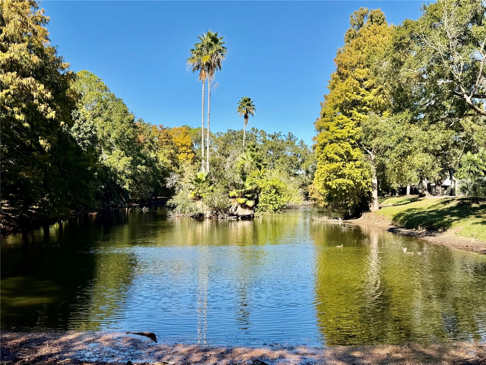 SCOTSDALE VILLA CONDO - Residential