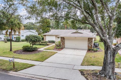 2820 LOMOND DRIVE PALM HARBOR FL 34684