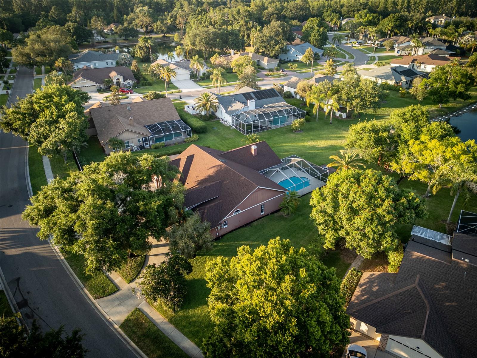 THE TRAILS AT VAN DYKE FARMS - Residential