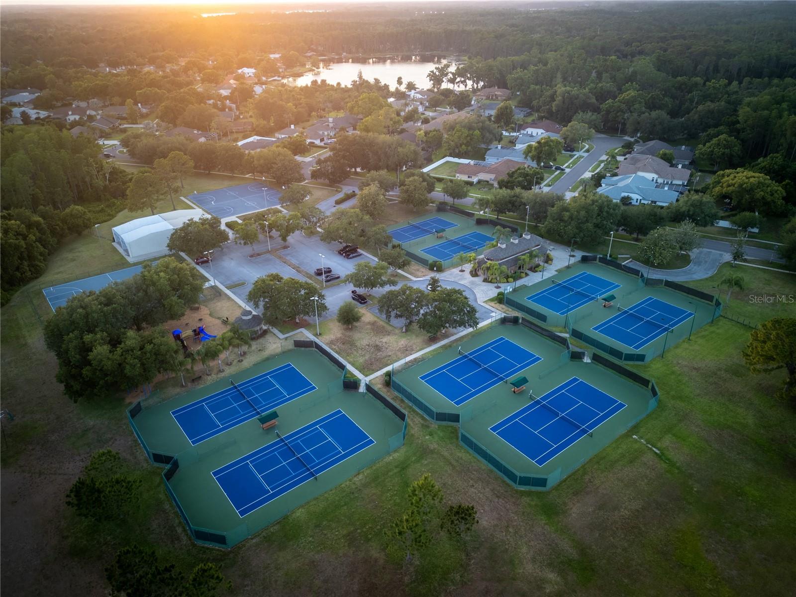 THE TRAILS AT VAN DYKE FARMS - Residential