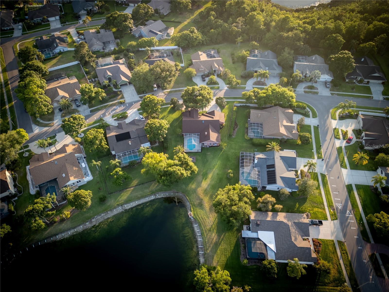 THE TRAILS AT VAN DYKE FARMS - Residential
