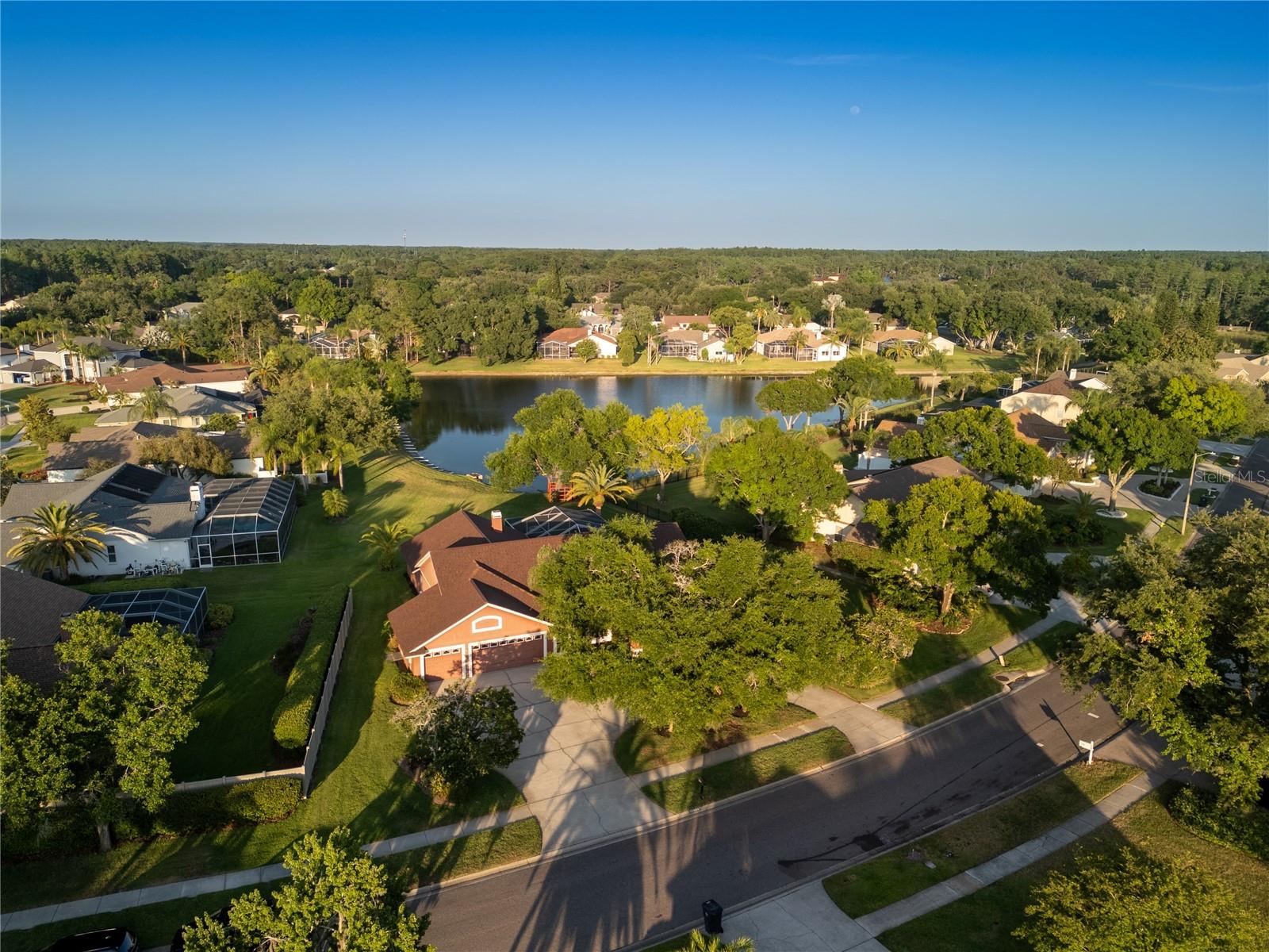 THE TRAILS AT VAN DYKE FARMS - Residential