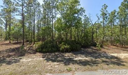 Photo of 10584 N Inez Terrace, Citrus Springs, FL 34433 (MLS # OM731469)