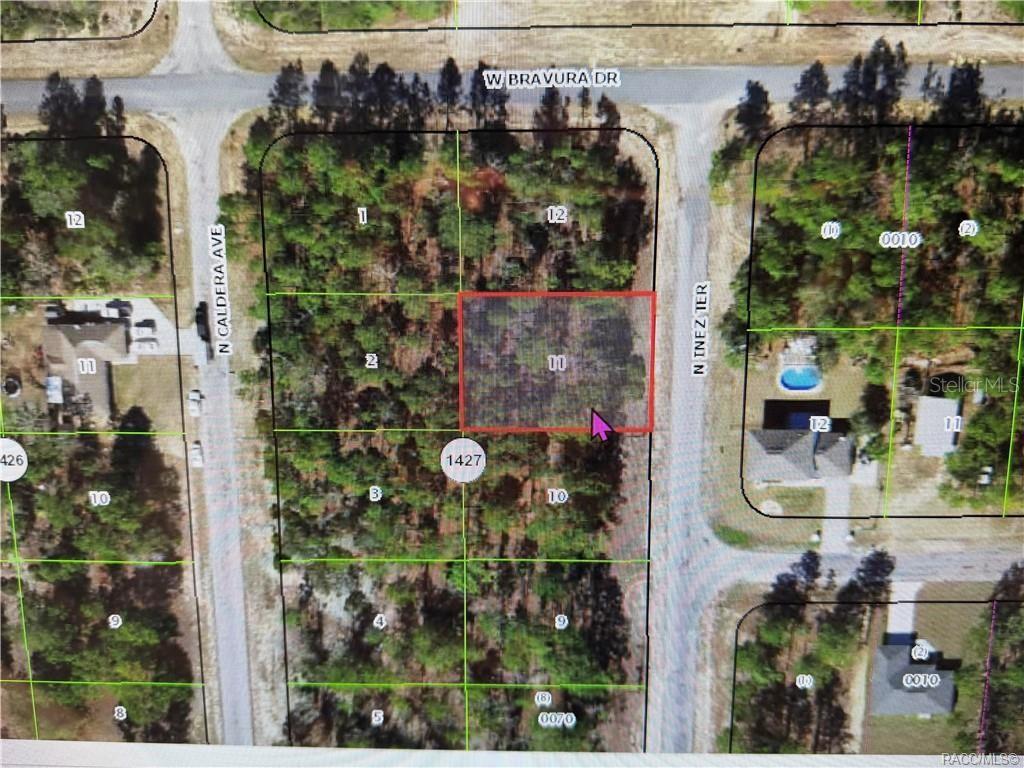 Photo of 10584 N Inez Terrace, Citrus Springs, FL 34433 (MLS # OM731469)