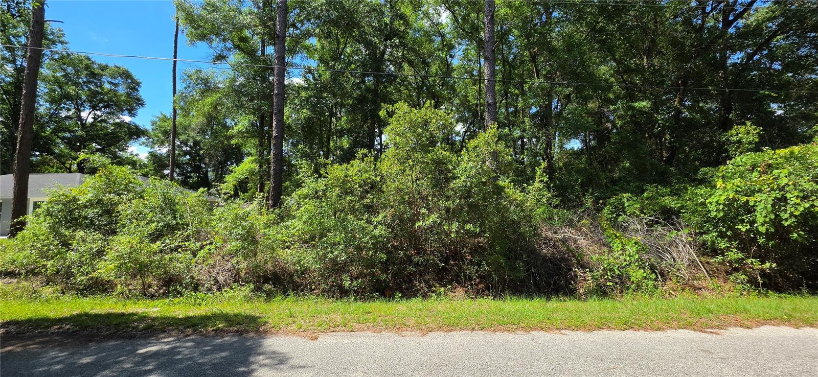 OCALA PARK ESTATE - Land
