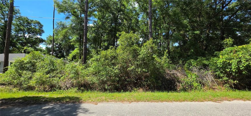 Build your dream home or invest in one of Ocala's growing areas! This vacant lot is located in the desirable Ocala Park Estates, offering a convenient location less than 10 minutes from shopping, dining, and the renowned World Equestrian Center. With the adjacent lot also available for purchase, this is a unique opportunity to expand your homesite or investment potential.
