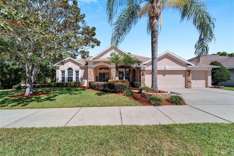 A home in VALRICO