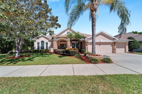 2512 CENTENNIAL FALCON DRIVE VALRICO FL 33596