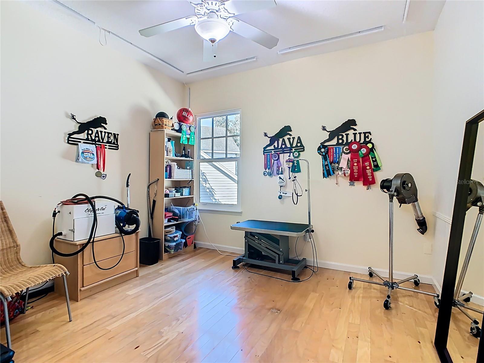 CELEBRATION SOUTH VILLAGE UNIT 5 - Residential