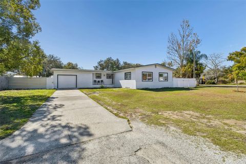 2109 OAKLAND DRIVE BRANDON FL 33510