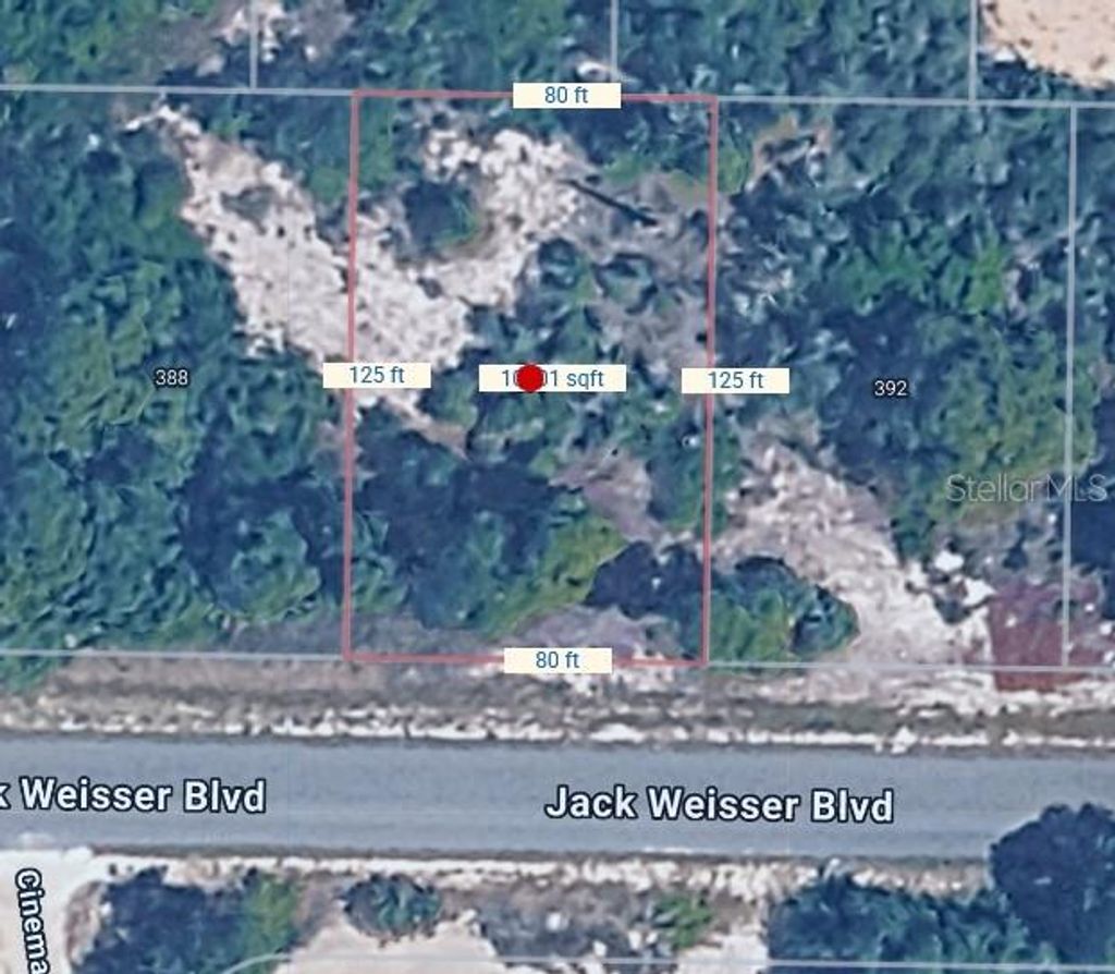 Photo of 390 Jack Weisser Boulevard, Lake Placid, FL 33852 (MLS # C7522268)