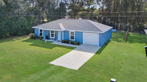 2956 SE 145TH PLACE SUMMERFIELD FL 34491