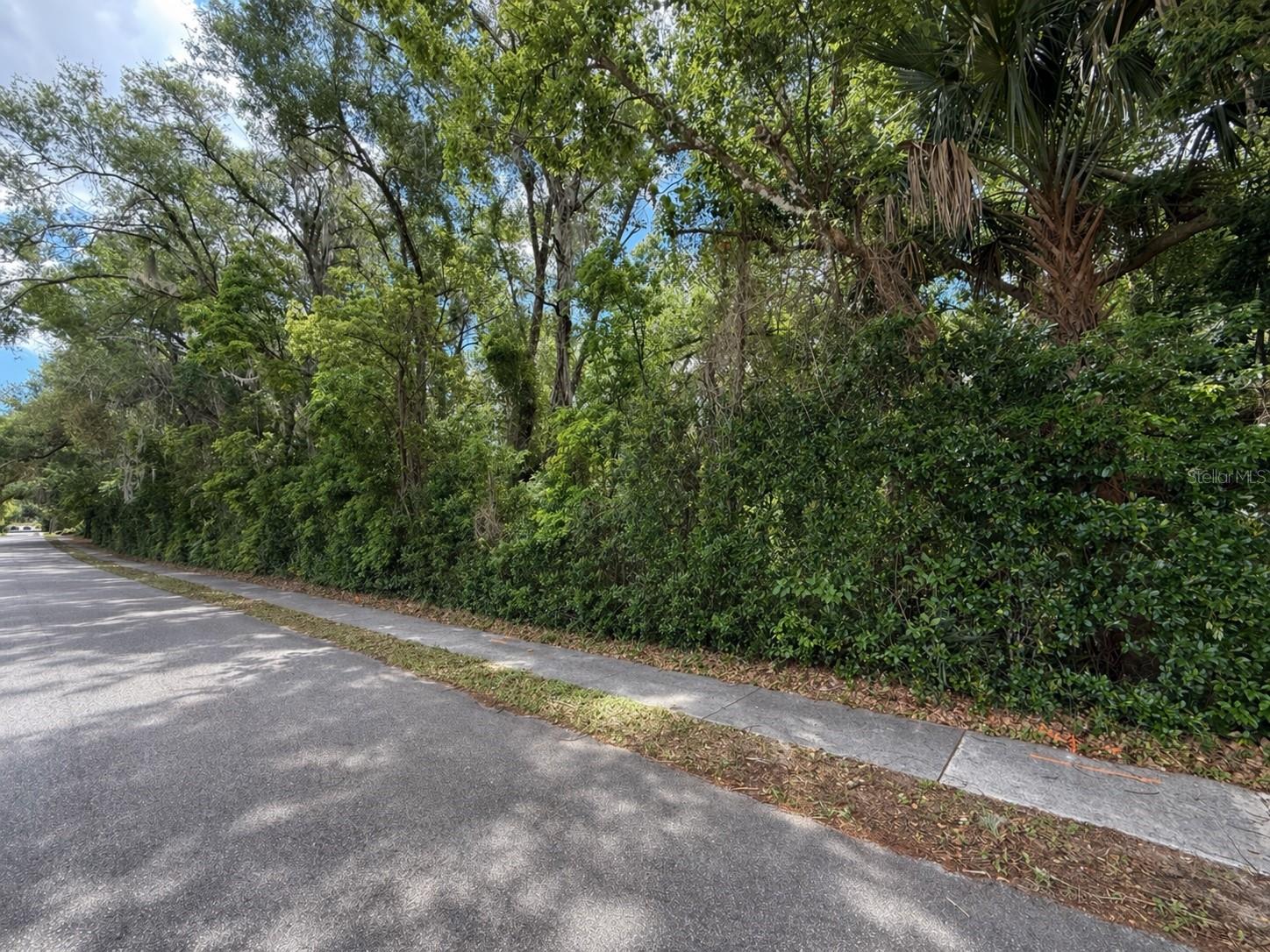 TBD KING AVENUE