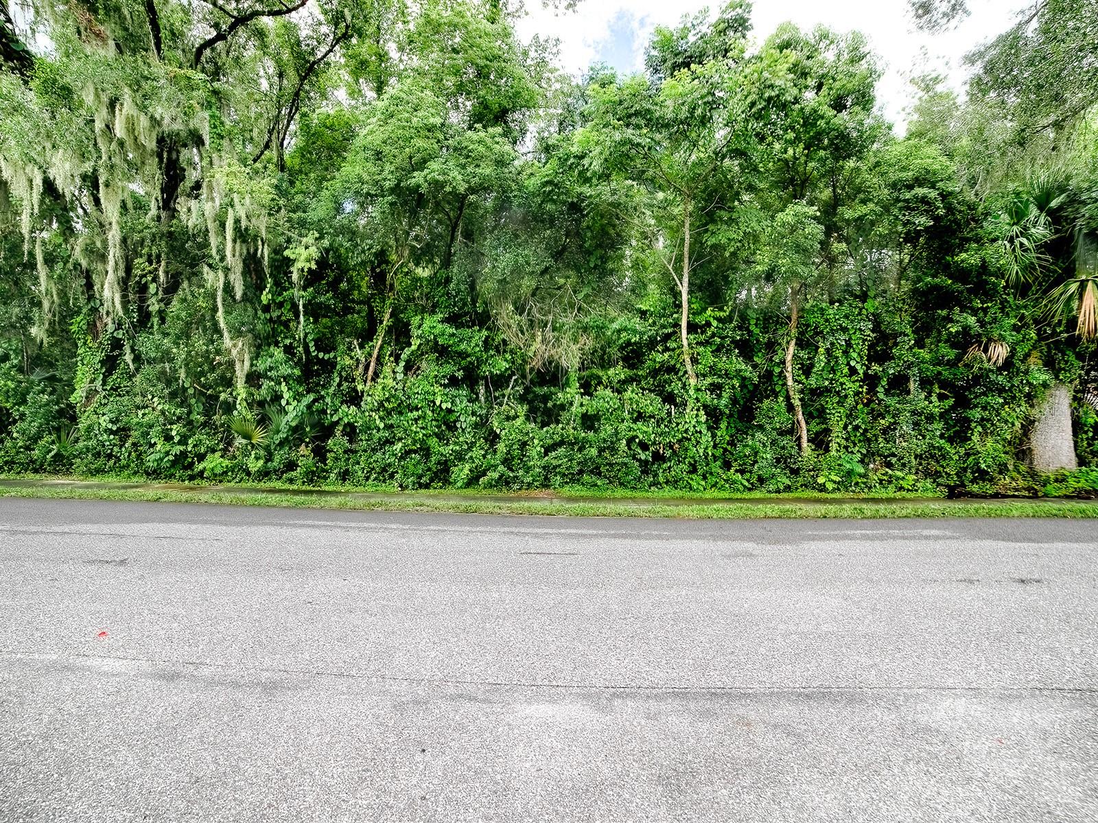 TBD KING AVENUE