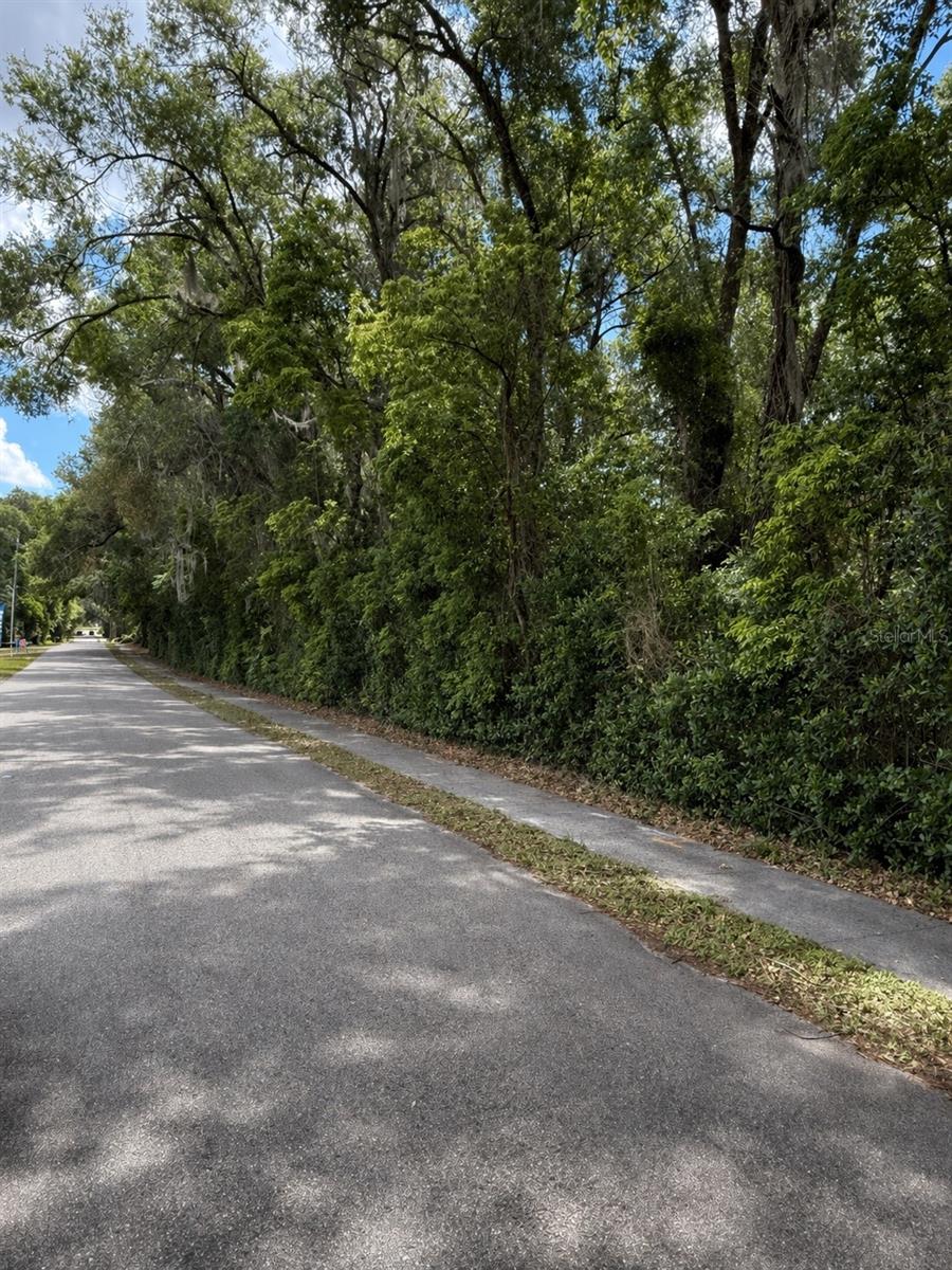 TBD KING AVENUE
