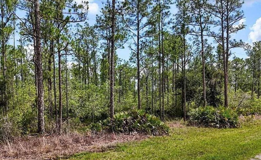 Photo of Oleander Drive, Indian Lake Estates, FL 33855 (MLS # O6229434)