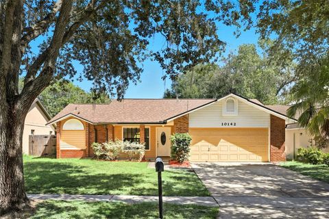 10142 CHESHUNT DRIVE ORLANDO FL 32817