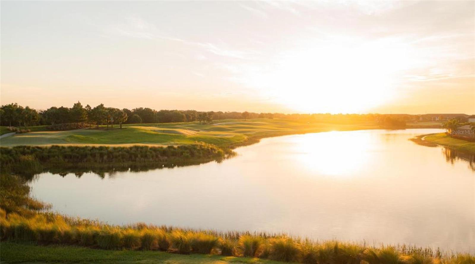 COACH HOMES IV AT LAKEWOOD NATIONAL PH 1 - Residential