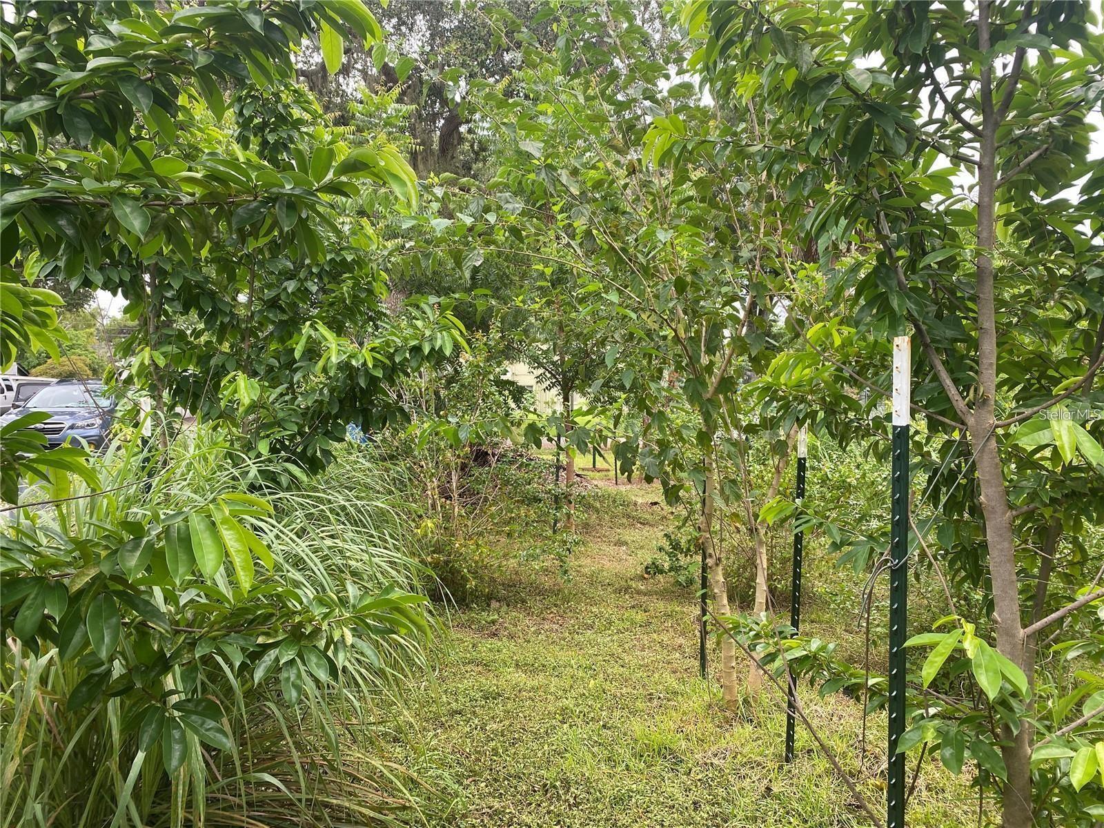 OSPREY PARK 2 - Land