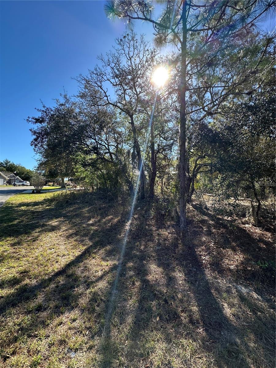 SUGARMILL WOODS CYPRESS VILLAGE - Land