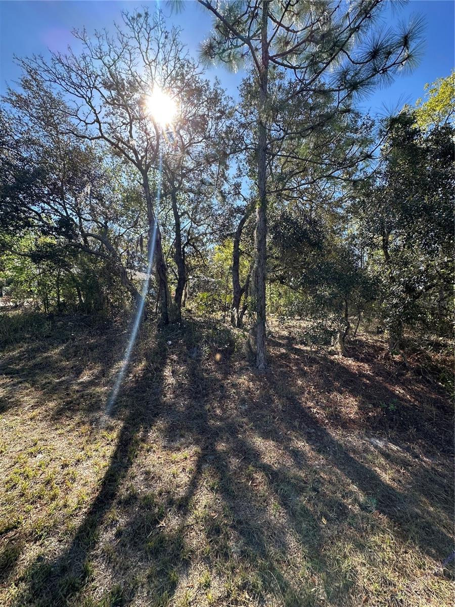 SUGARMILL WOODS CYPRESS VILLAGE - Land