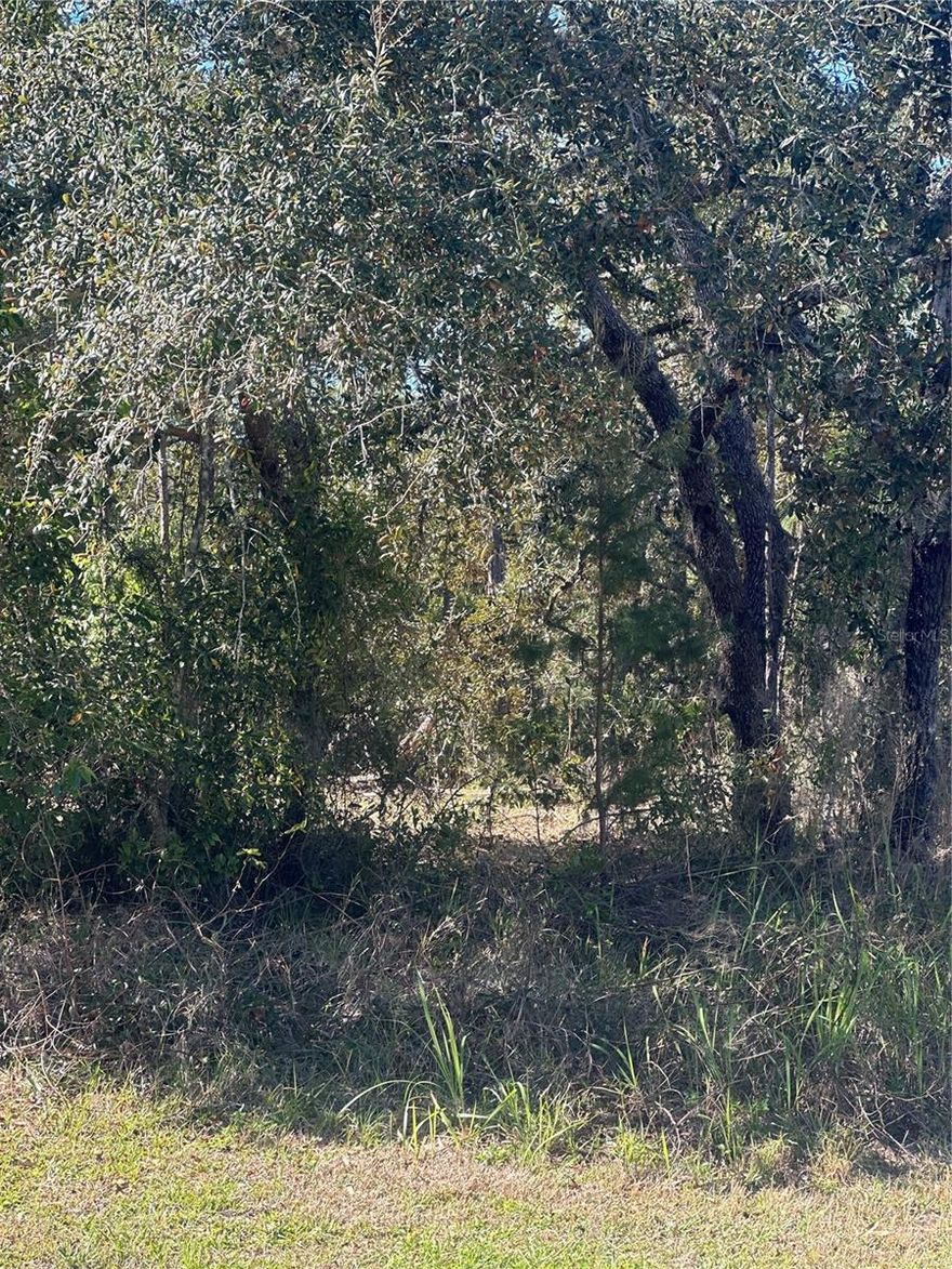 Prime buildable lot in the sought-after Cypress Village at Sugarmill Woods! This oversized lot boasts an expansive front yard and a protected no-build area behind, owned by the HOA—ensuring privacy and a serene setting. No flood insurance required (X Zone). Measuring 175' wide in the front x 120' deep x 70' wide in the backyard, this property offers ample space for your dream home. Sugarmill Woods is known for its low HOA fees and the option to join the club for access to top-tier amenities, including a junior-sized swimming pool, fitness center, 8 tennis courts, golf courses with a pro shop, racquetball, bocce ball, shuffleboard, playground, and more. Conveniently located near the Suncoast Parkway, offering a quick commute to Tampa’s airport, shopping, theaters, museums, cruise ports, and vibrant downtown scene. Just 1 hour and 20 minutes from two of the top-rated beaches in the U.S. and minutes from the Homosassa and Crystal Rivers, which are known for boating, kayaking, fishing, and swimming with manatees.