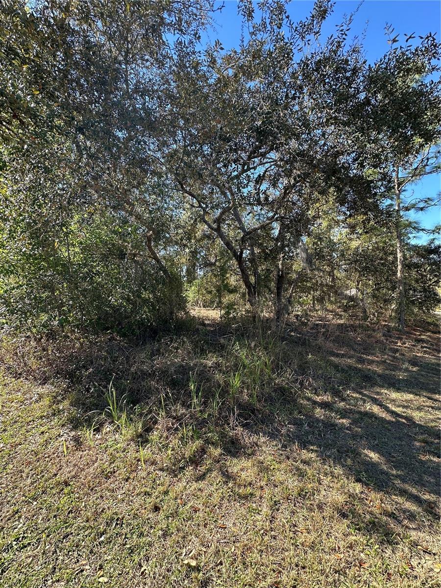 SUGARMILL WOODS CYPRESS VILLAGE - Land