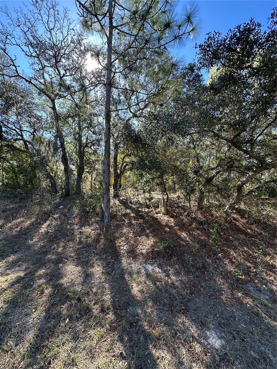 SUGARMILL WOODS CYPRESS VILLAGE - Land