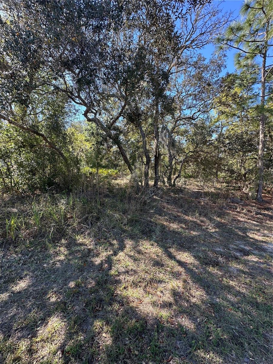 SUGARMILL WOODS CYPRESS VILLAGE - Land